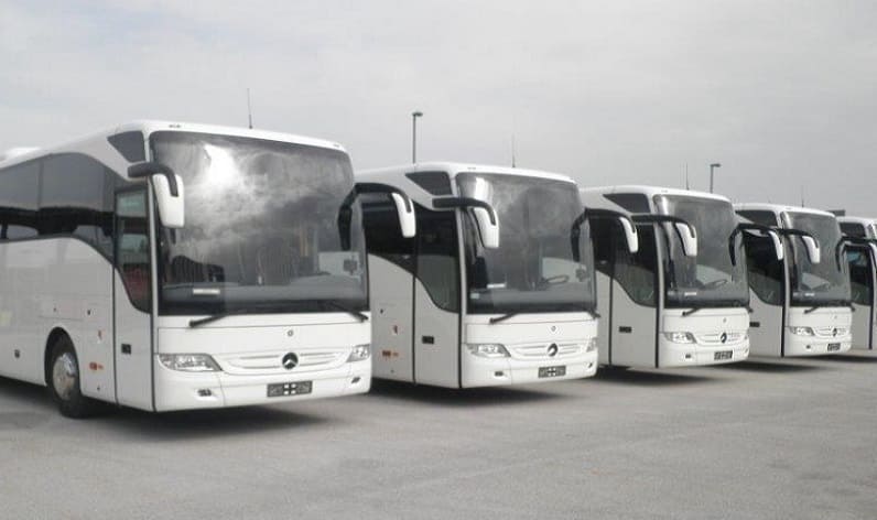 Italy: Bus company in Turin, Piedmont
