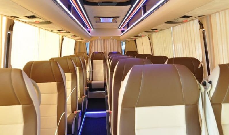 Italy: Buses operator in Turin, Piedmont