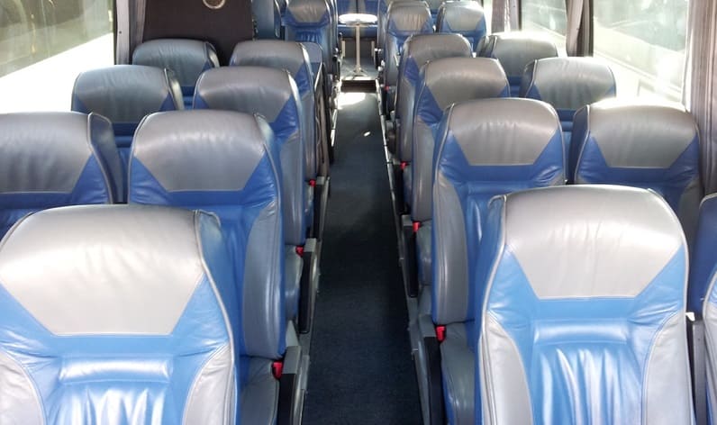 Italy: Bus rental in Turin, Piedmont